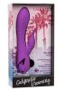 California Dreaming Valley Vamp Purple Rabbit Vibrator
