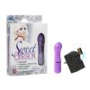 Sweet Obsession Rechargeable Massager