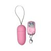 Power Bullet Remote Control