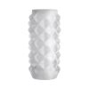 Optimale Reversible Stroker Studs Frost Clear