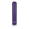 Tiny Teasers Bullet Vibrator Purple