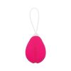 Evolved Rechargeable Egg R/c Silicone Pink
