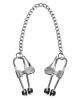 Intensity Nipple Press Clamps With Chain Metal Silver
