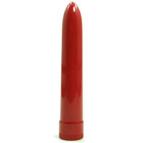 Lady's Mood Plastic Vibrator